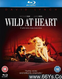 ���Ŀ�Ұ�ķ���ͼ