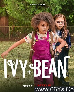 ��ޱ�Ͷ����ķ���ͼ