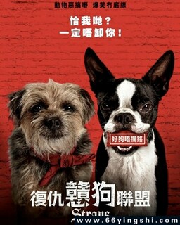 ���˹�2023�ķ���ͼ