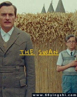 ���ķ���ͼ