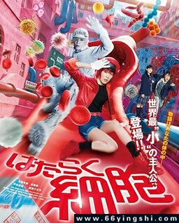 ����ϸ�� ���˰�ķ���ͼ