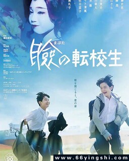 Ѳ��תѧ���ķ���ͼ