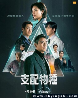 ֧������[ȫ��]�ķ���ͼ