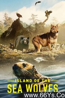 ����֮���ķ���ͼ