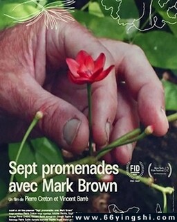 ������·���ʵ��ߴ�ɢ���ķ���ͼ