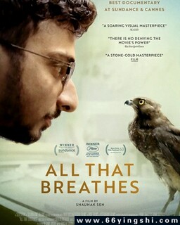 ������Ϣ�ķ���ͼ