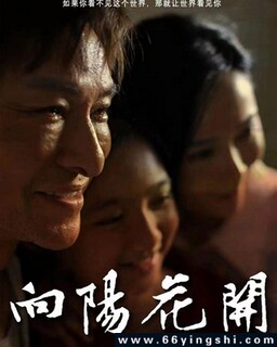 ��������2024�ķ���ͼ