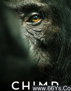 �����ɵ۹��ķ���ͼ