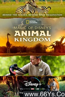 ��ʿ�ᶯ�������ķ���ͼ