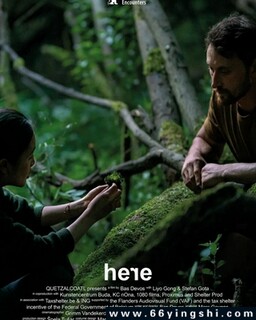 С����ķ���ͼ