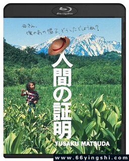 ��֤�ķ���ͼ