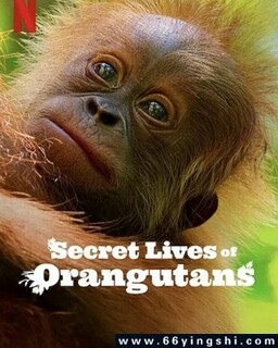 ��ë���ɵ���������ķ���ͼ