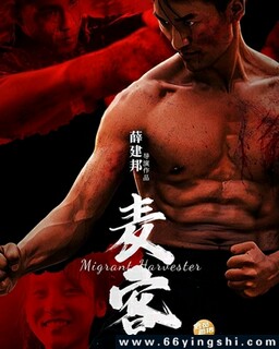 ��͵ķ���ͼ