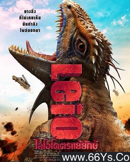 �ֲ����޵ķ���ͼ