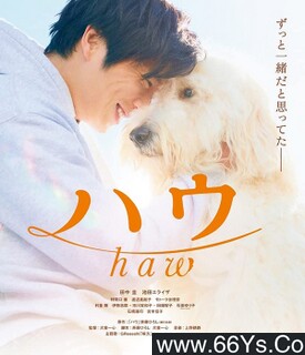 ��صķ���ͼ