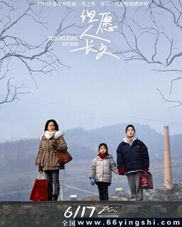 ��Ը�˳���2025�ķ���ͼ