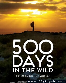 ��Ұ500��ķ���ͼ