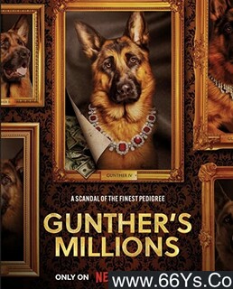 ����Ȯ�ķ���ͼ