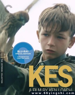 С����ӥ�ķ���ͼ