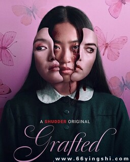 ��ֲ�ķ���ͼ