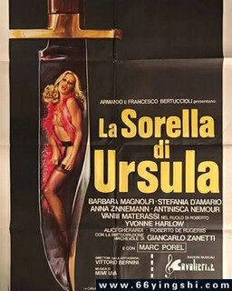 ������������ķ���ͼ