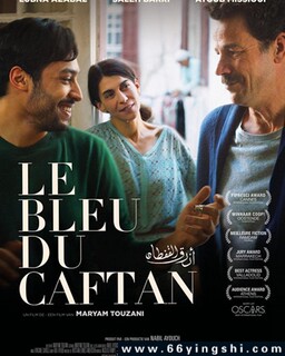 ��ɫ���۵ķ���ͼ