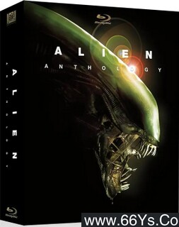 �����Ĳ����ķ���ͼ