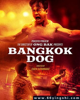 ����ս�ǵķ���ͼ