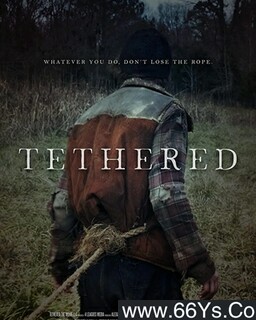 �����ݺ��ķ���ͼ