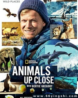 ������·���׸���붯�������ķ���ͼ