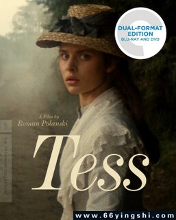 ̦˿�ķ���ͼ