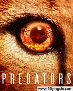 ʳ�⶯��ķ���ͼ