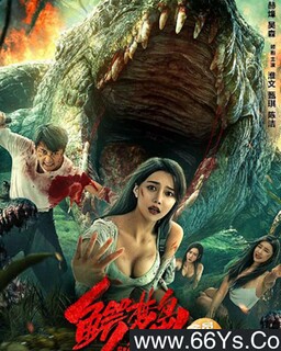 ���ε��ķ���ͼ