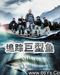 ׷�پ�����ķ���ͼ