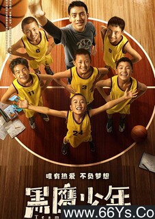 ��ӥ����ķ���ͼ