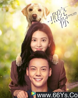 ������[ȫ��]�ķ���ͼ