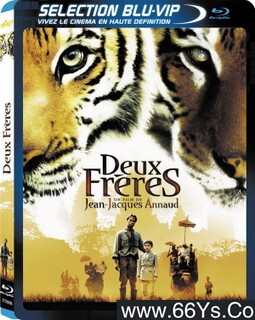 ���ֻ��ܵķ���ͼ