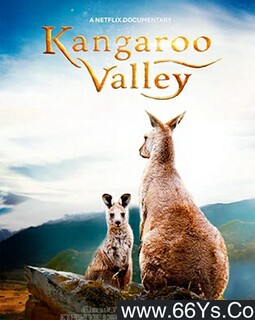 ����ȵķ���ͼ