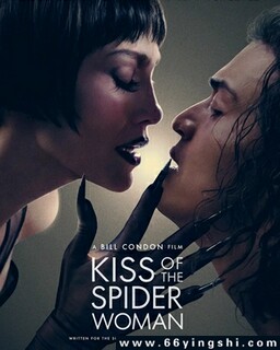 ֩��Ů֮�ǵķ���ͼ