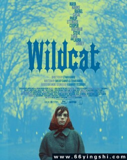 Ұè2023�ķ���ͼ