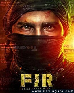 FIR����������ج�εķ���ͼ