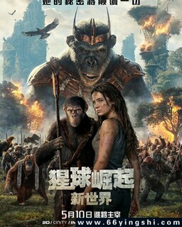 ��������������ķ���ͼ