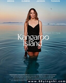 ���󵺵ķ���ͼ