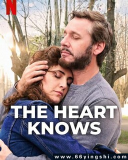 ��֮�����ķ���ͼ