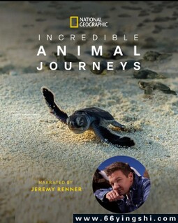 ����˼��Ķ���֮�õķ���ͼ