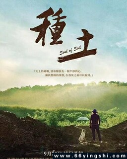 �����ķ���ͼ