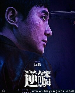 ����2024�ķ���ͼ