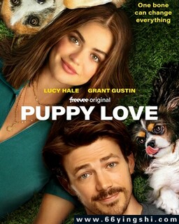 С��֮���ķ���ͼ