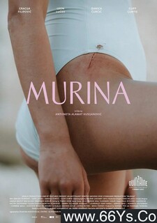 �����ķ���ͼ