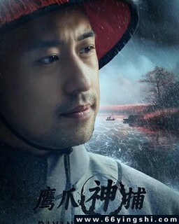 ӥצ�񲶵ķ���ͼ